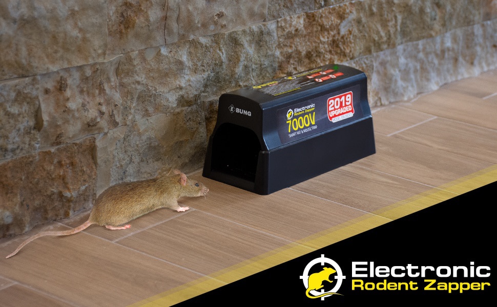 electronic mouse trap review