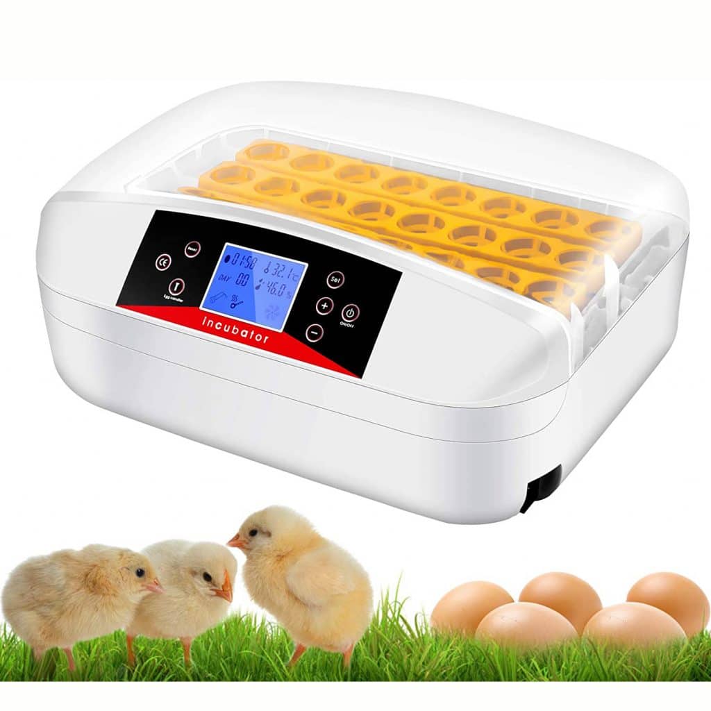 best egg incubator for large quantities